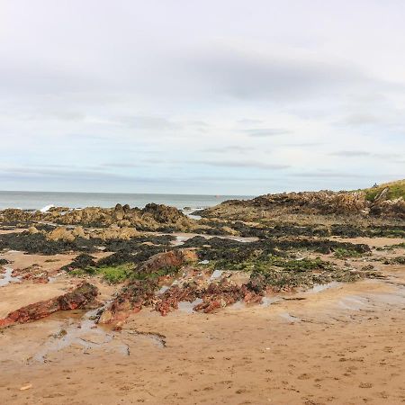 Meadow Lodge Coldingham Buitenkant foto